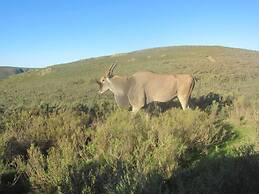 Swaynekloof Farm