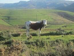 Swaynekloof Farm