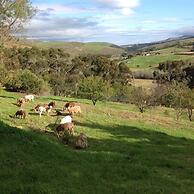 Swaynekloof Farm