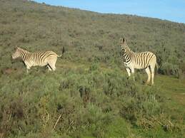 Swaynekloof Farm