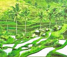 Angel House Ubud Eco Villa