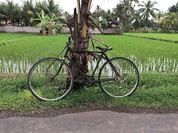 Angel House Ubud Eco Villa