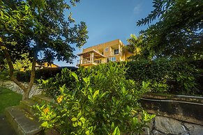 Hotel Royal Nest