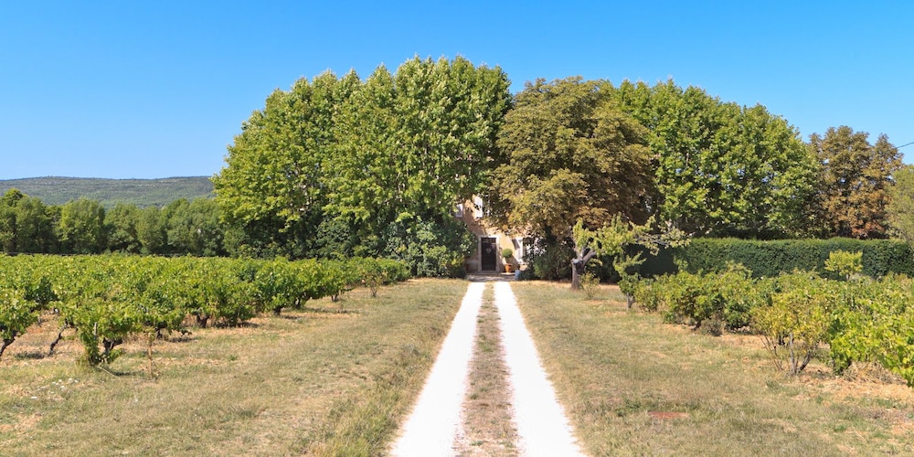 Domaine le Clos du Pavillon