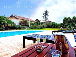 Tenuta del Gelso