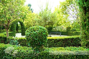 Molino de Morillas