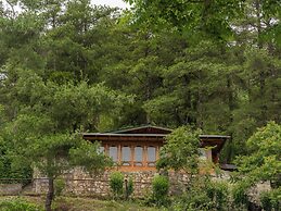 Tiger Nest Resort