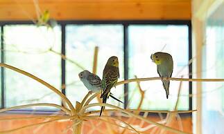 Skylake Pension