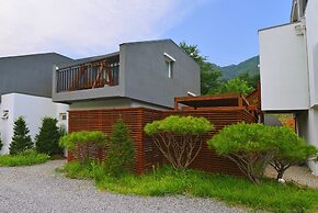 Skylake Pension