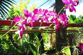 Kampot Guesthouse