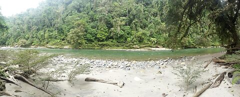 Playa Selva Lodge