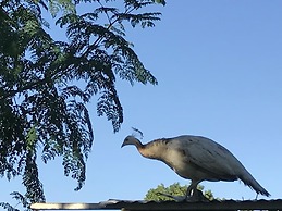 Kiskeya Guest House
