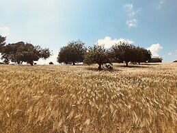 Finca Sestelrica