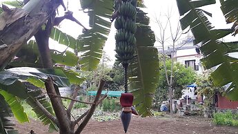 Hotel Bishram