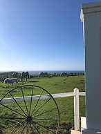 T'Niqua Stable Inn