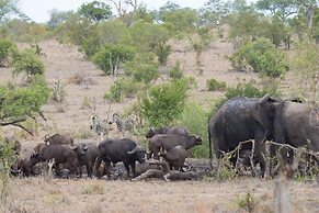 Buffelshoek Tented Camp