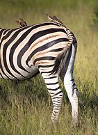 Buffelshoek Tented Camp