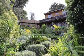 Big Tree House Lodge