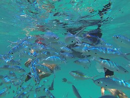 Acqua Blu Rasdhoo