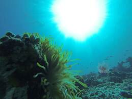 Acqua Blu Rasdhoo