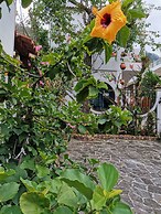 Pescador Hotel PH