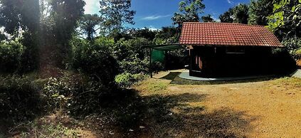 La Ceiba Ecoadventures