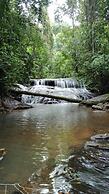La Ceiba Ecoadventures