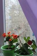 Sara's Guest House