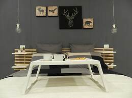 Mola Rooms