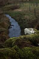 The Steading