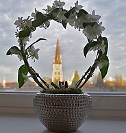 Icon Becket Apartment