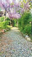 Villa Maria Sole