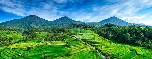 Beluran Serene Guesthouse