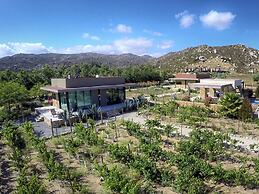 Entre Viñedos