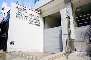 Petit Palace Apart Hotel Suites