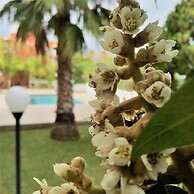 B&B Marricriu