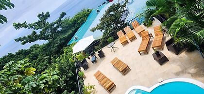 Sunshine Sanctuary