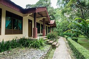 Ecolodge Bukit Lawang
