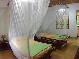 Ecolodge Bukit Lawang