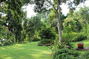 Ecolodge Bukit Lawang