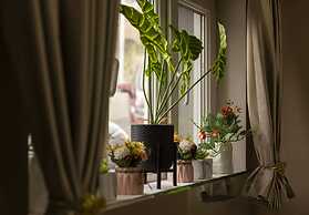 Hotel Grand Palace Tbilisi