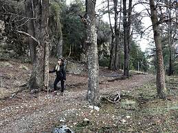 Patagonia Acres
