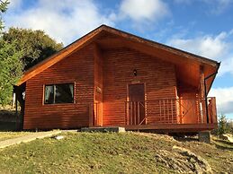 Patagonia Acres