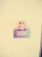 Fly in Sunnyday