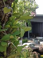 Green Garden Resort