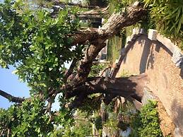 Green Garden Resort