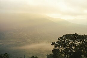 The Kayuan