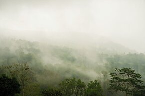 The Kayuan
