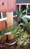 Riad Dar Nejma