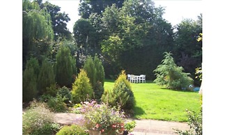 The Pines Hotel